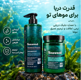 پک شامپو و ماسک موی بدون سولفات جلبک دریایی (اصلی) ا seaweedمیگ